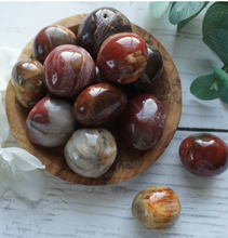 Load image into Gallery viewer, Petrified Wood Cuddle