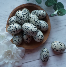 Load image into Gallery viewer, Dalmatian Cuddle