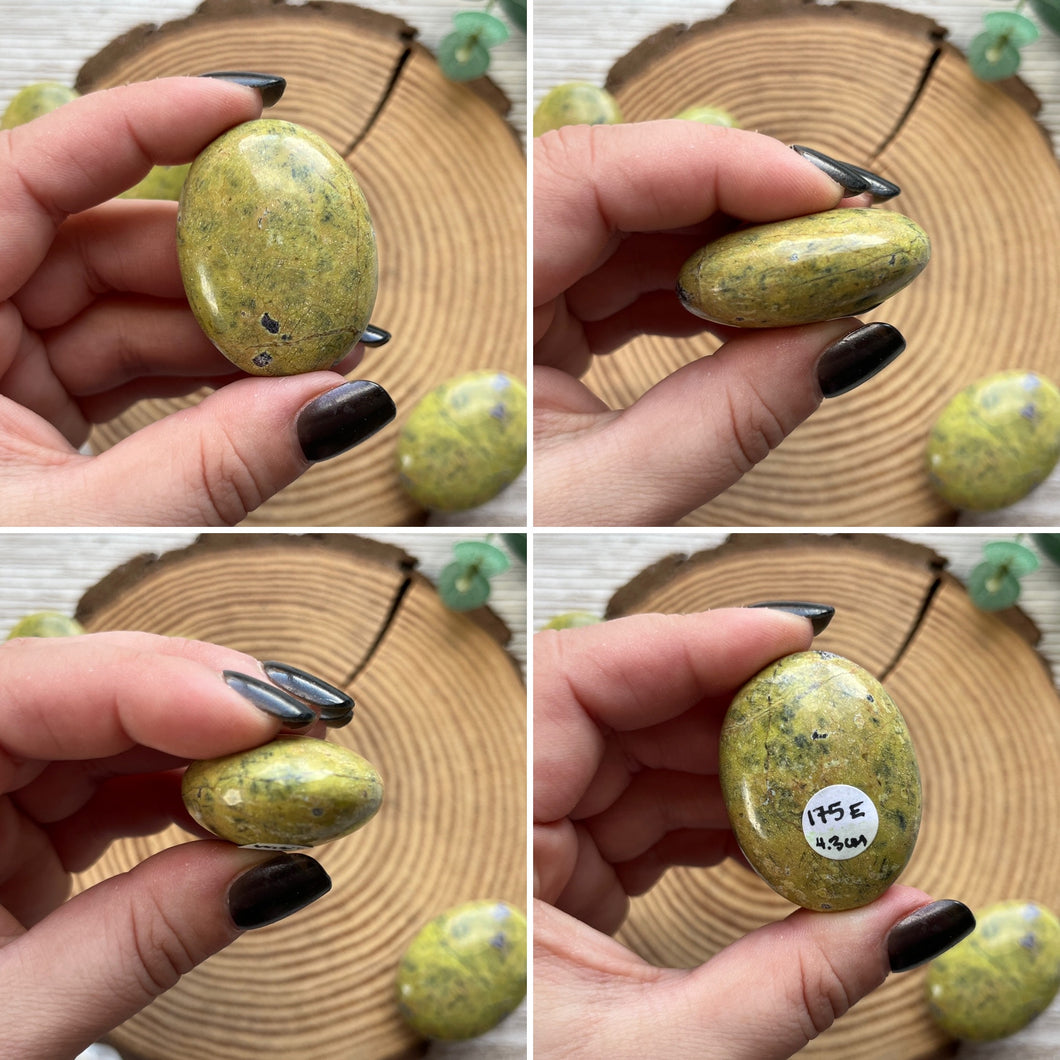 Small Atlantisite Palmstone