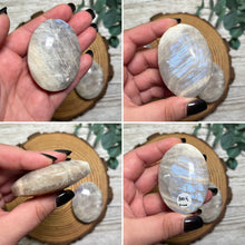 Load image into Gallery viewer, Belomorite Palmstone
