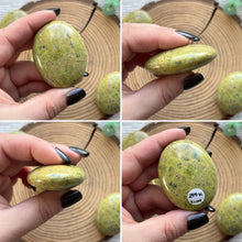Load image into Gallery viewer, Atlantisite Palmstone
