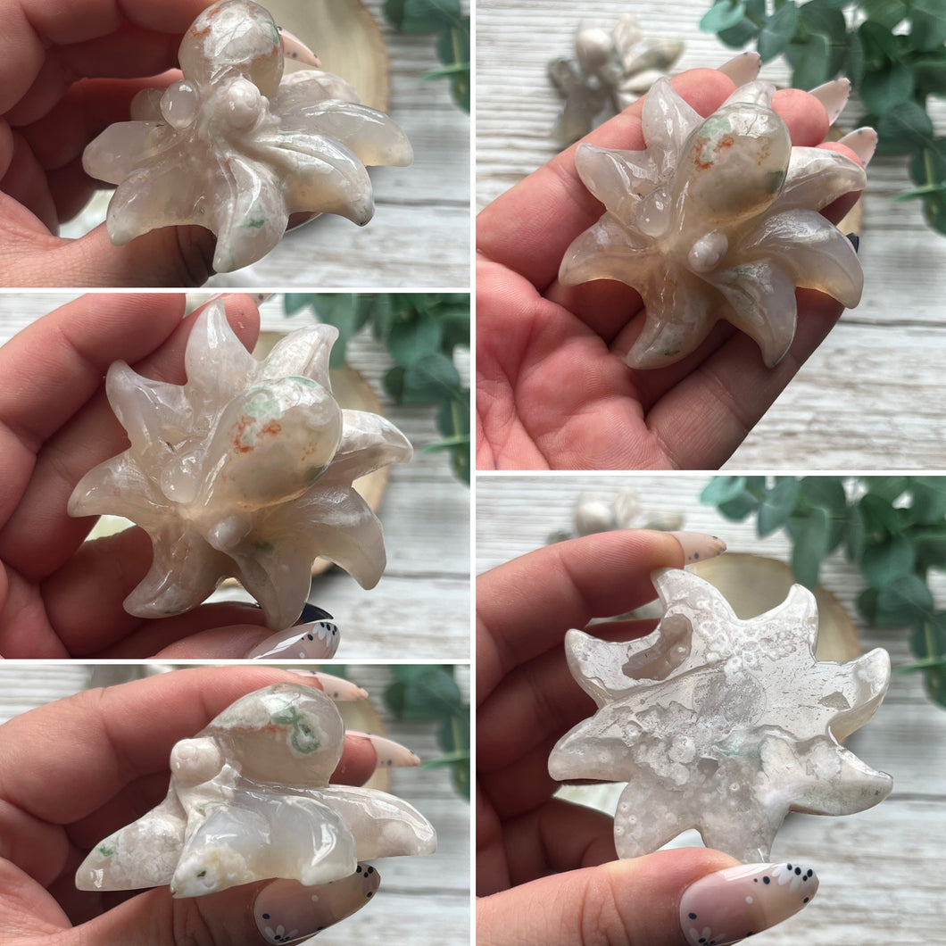 Flower Agate Octopus