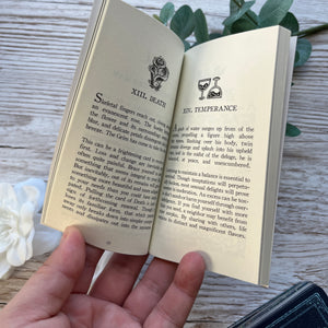 Jasmine's Chiffonjé: Kickstarter The Cosma Visions Collection