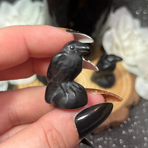 Small Obsidian Crow