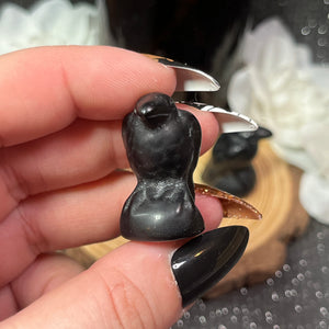 Small Obsidian Crow