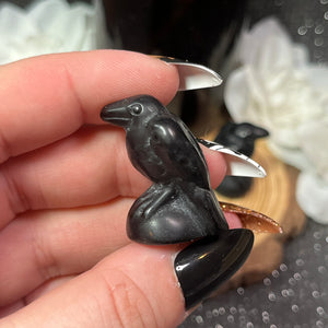 Small Obsidian Crow