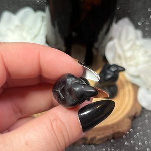 Small Obsidian Crow