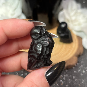 Small Obsidian Owl