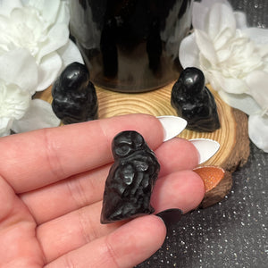 Small Obsidian Owl