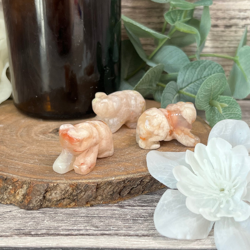 Mini Flower Agate Bear