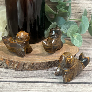 Tigers Eye Seal