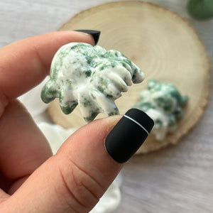 Tree Agate Spider
