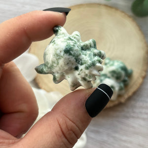 Tree Agate Spider