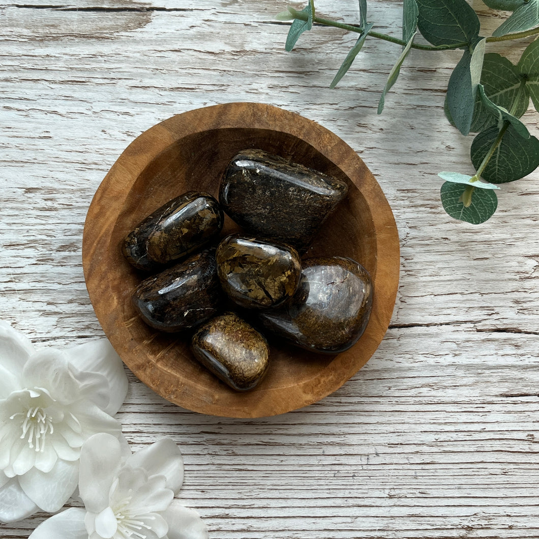 Bronzite (Cuddle, ∼200g)