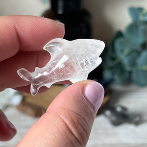 Mini Shark