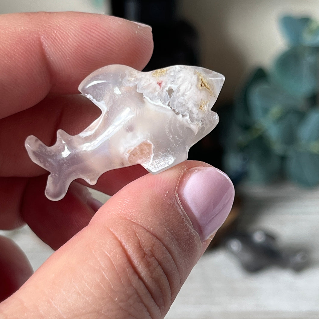 Mini Shark
