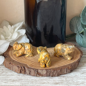 Mini Crazy Lace Agate Bear