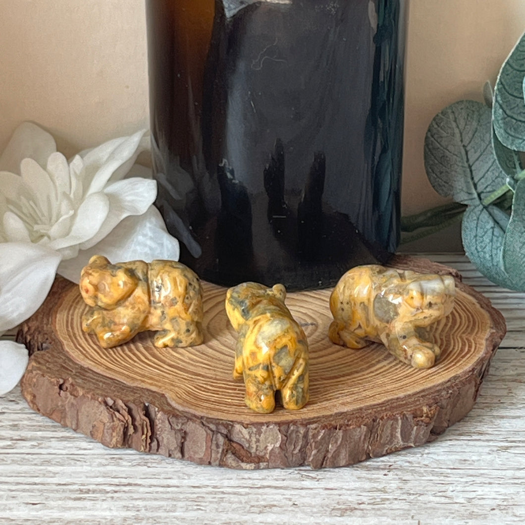 Mini Crazy Lace Agate Bear