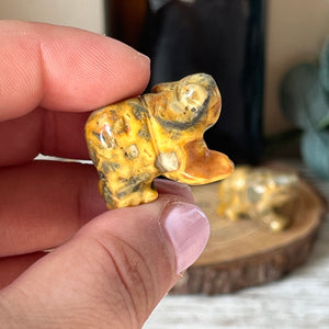 Mini Crazy Lace Agate Bear