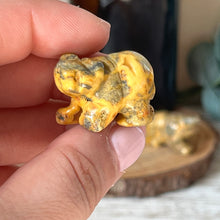 Load image into Gallery viewer, Mini Crazy Lace Agate Bear
