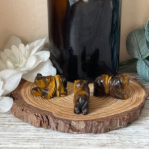 Mini Tigers Eye Bear