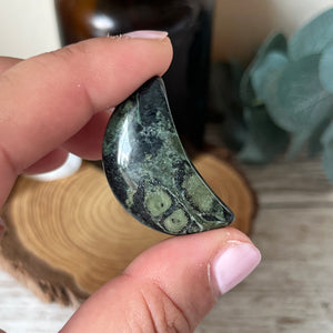 Kambaba Star or Moon