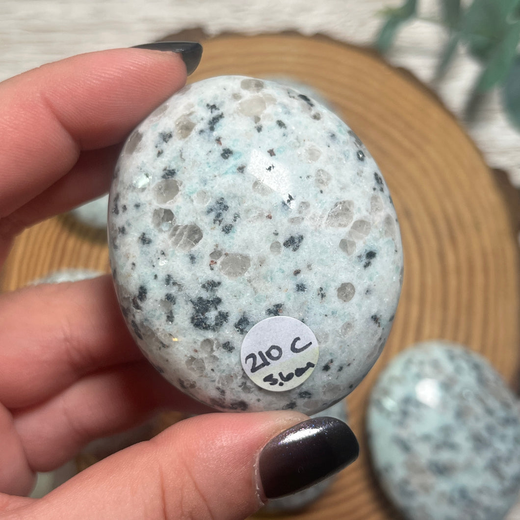 Kiwi Jasper Palmstone