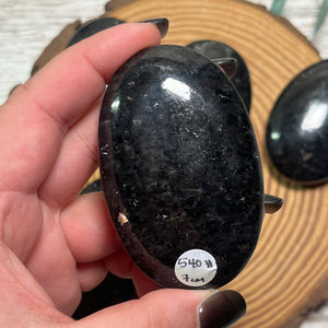 Nuummite Palmstone