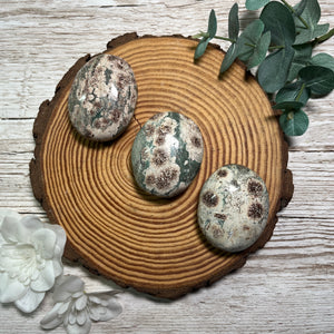 Flower Rhyolite Palmstone