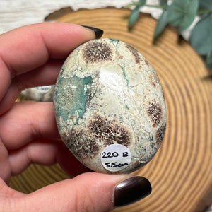 Flower Rhyolite Palmstone
