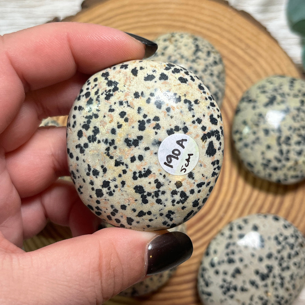 Dalmatian Jasper Palmstone
