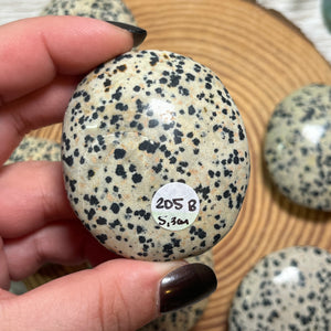 Dalmatian Jasper Palmstone
