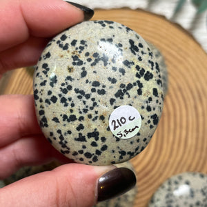 Dalmatian Jasper Palmstone