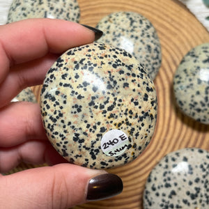 Dalmatian Jasper Palmstone