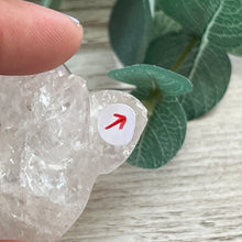 Load image into Gallery viewer, Misfit: Clear Quartz Seal
