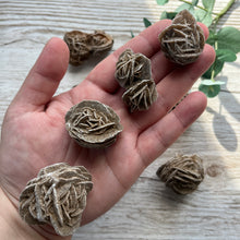 Load image into Gallery viewer, Tunisian Desert Rose
