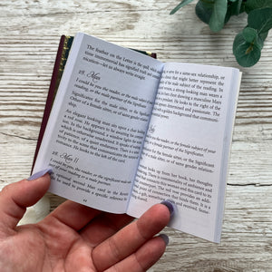 Jasmine's Chiffonjé: Gilded Reverie Expanded Edition