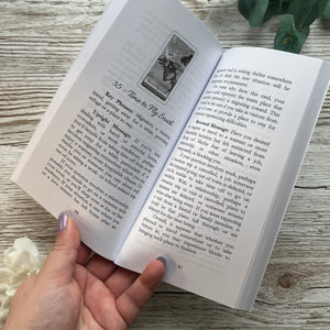 Jasmine's Chiffonjé: Limited Edition Borderless - Healers of the Earth Oracle - Mandy Peterson
