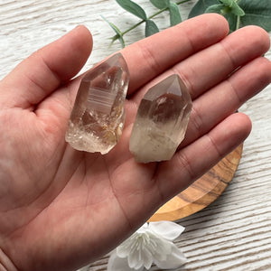 Smoky Lemurian Points 50g