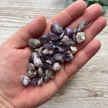 Load image into Gallery viewer, Chevron Amethyst Chips (50g)
