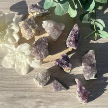 Load image into Gallery viewer, Raw Specimen: Amethyst Flat Clusters
