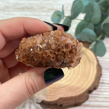 Load image into Gallery viewer, Orange Aragonite Raw Star Cluster
