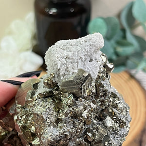 Statement Specimen: XL Pyrite Cluster with A-grade Clear Quartz