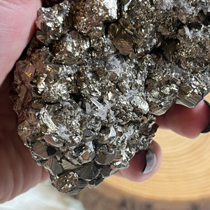 Statement Specimen: XL Pyrite Cluster with A-grade Clear Quartz