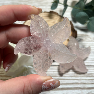 Rose Quartz Starfish