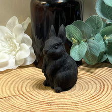 Load image into Gallery viewer, Obsidian Rabbit
