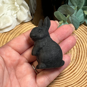 Obsidian Rabbit