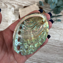 Load image into Gallery viewer, Small Abalone Shell
