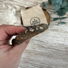 Load image into Gallery viewer, Small Abalone Shell

