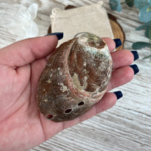 Load image into Gallery viewer, Small Abalone Shell
